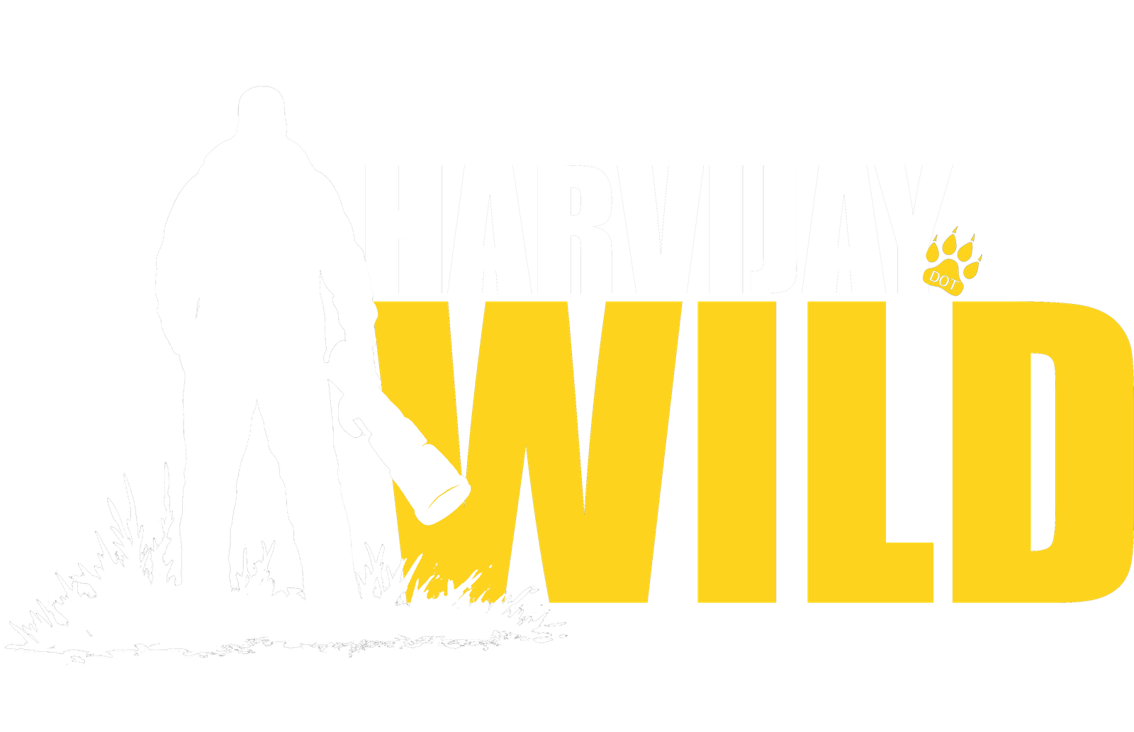 Harvijay Photography