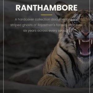 Tigers of Ranthambore