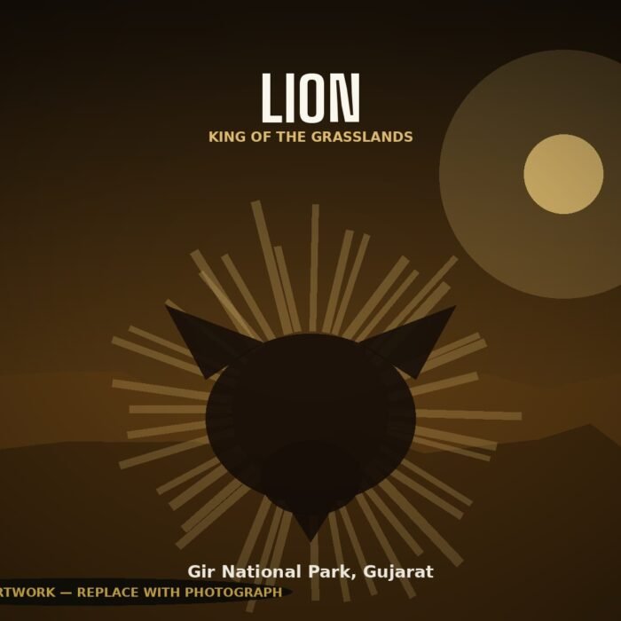 King of the Grasslands
